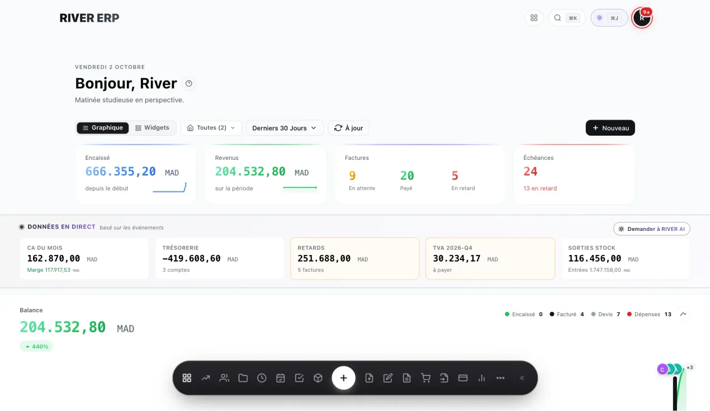 RIVER ERP dashboard with treasury, revenue and balance chart — light mode